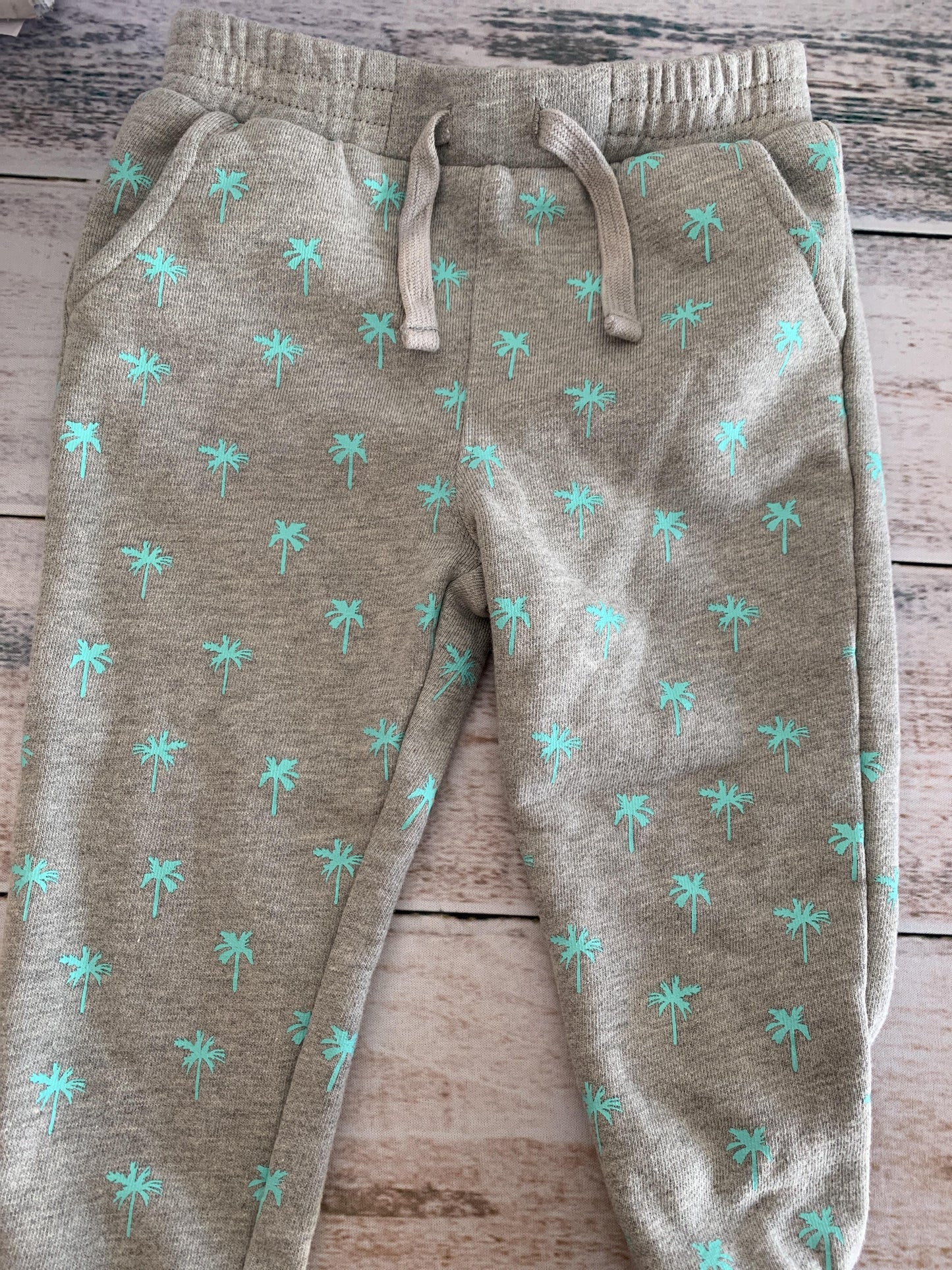 Boys Grey | Mint | trees Pants Size: 2T Grey | Mint | trees