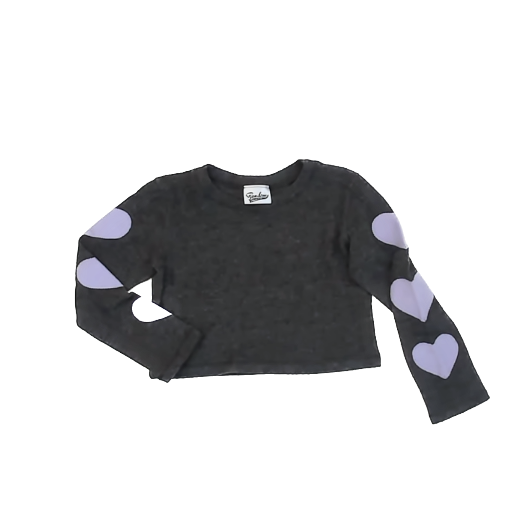 Random Hearts Girls Grey | Purple Long Sleeve Shirt Size: 3-4T* Grey | Purple