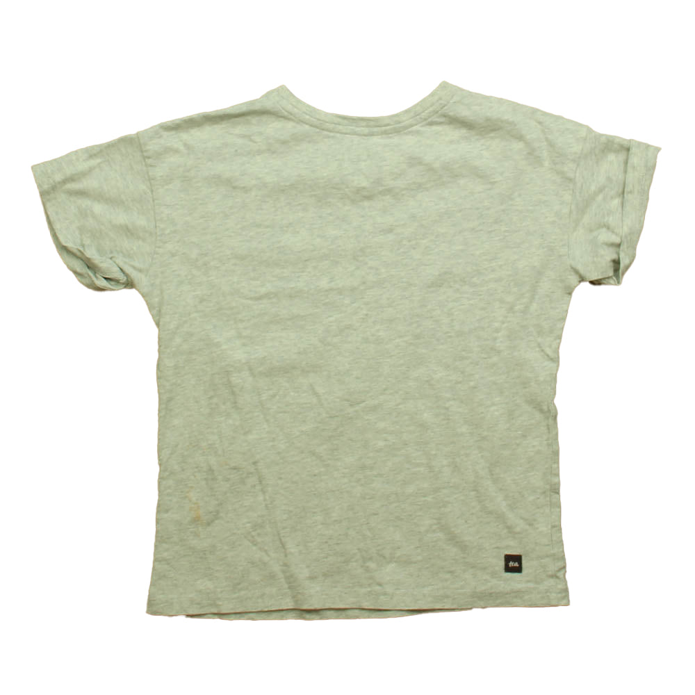Tea Girls Grey Watermelon Short Sleeve Shirt Size: 5T Grey Watermelon