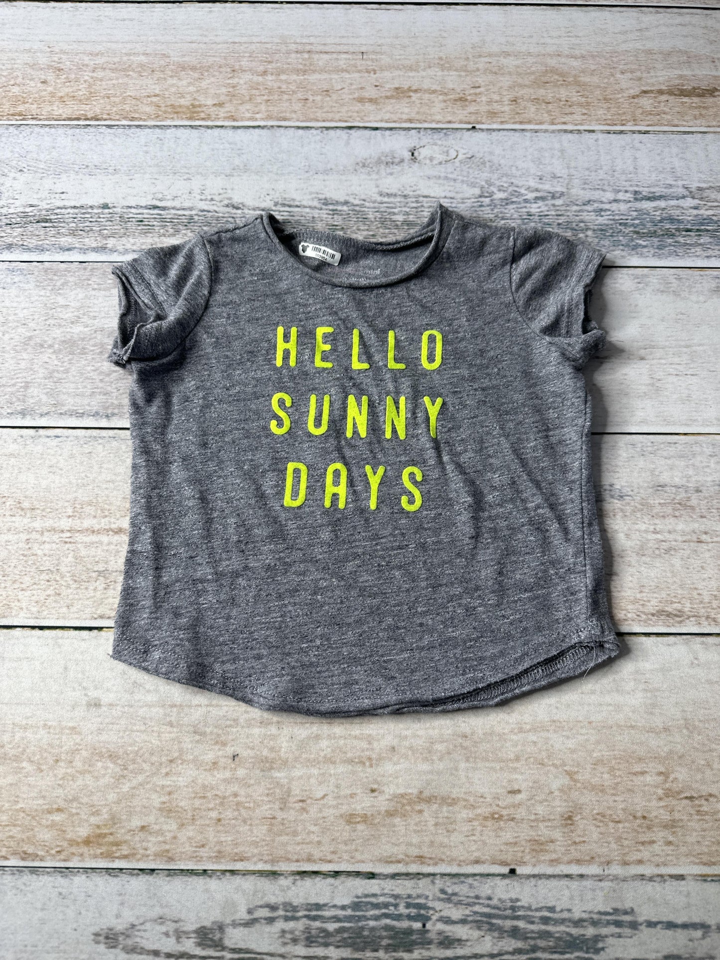 Grayson mini Girls Grey | Words T-Shirt Size: 2T Grey | Words