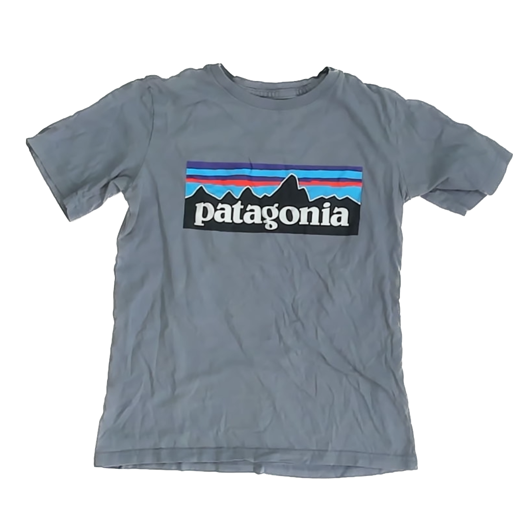 Patagonia Boys Grey T-Shirt Size: 7-8 Years Grey