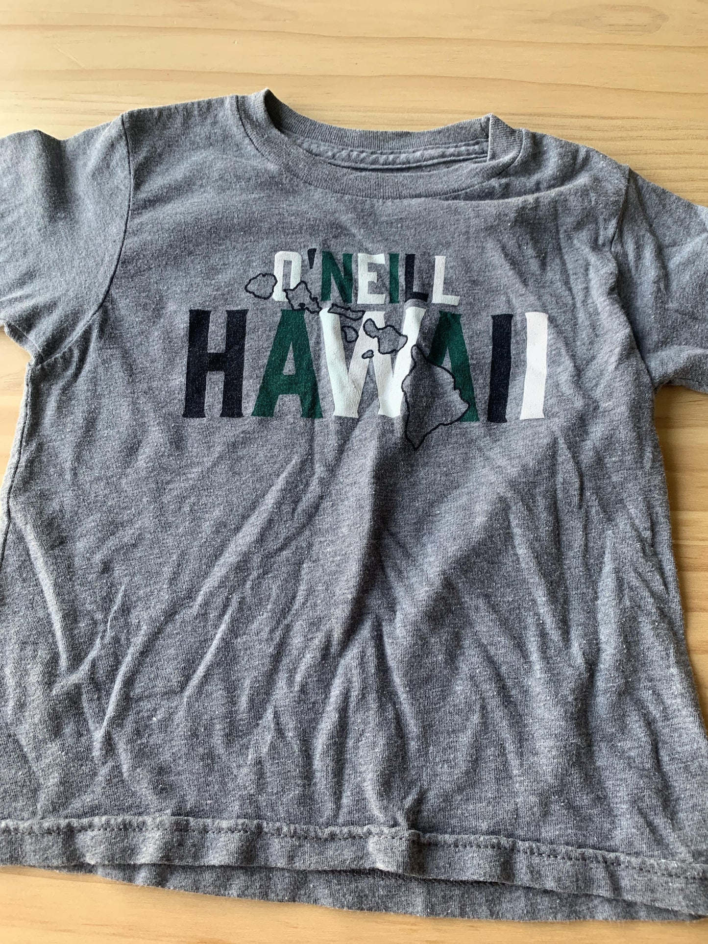 Boys Grey T-Shirt Size: 4T Grey