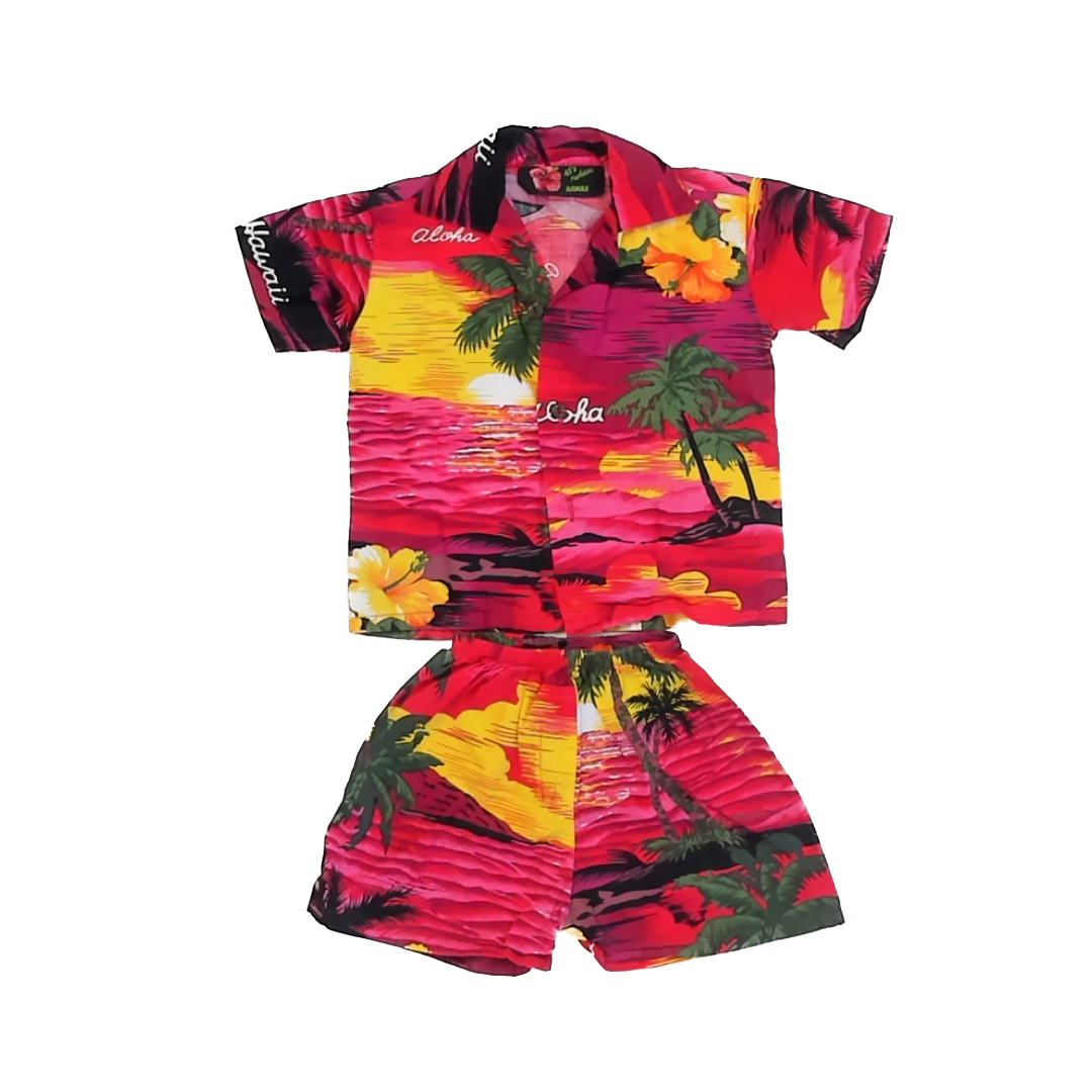 Unknown Boys Hawaiian Apparel Sets Size: *12-18 Months Hawaiian