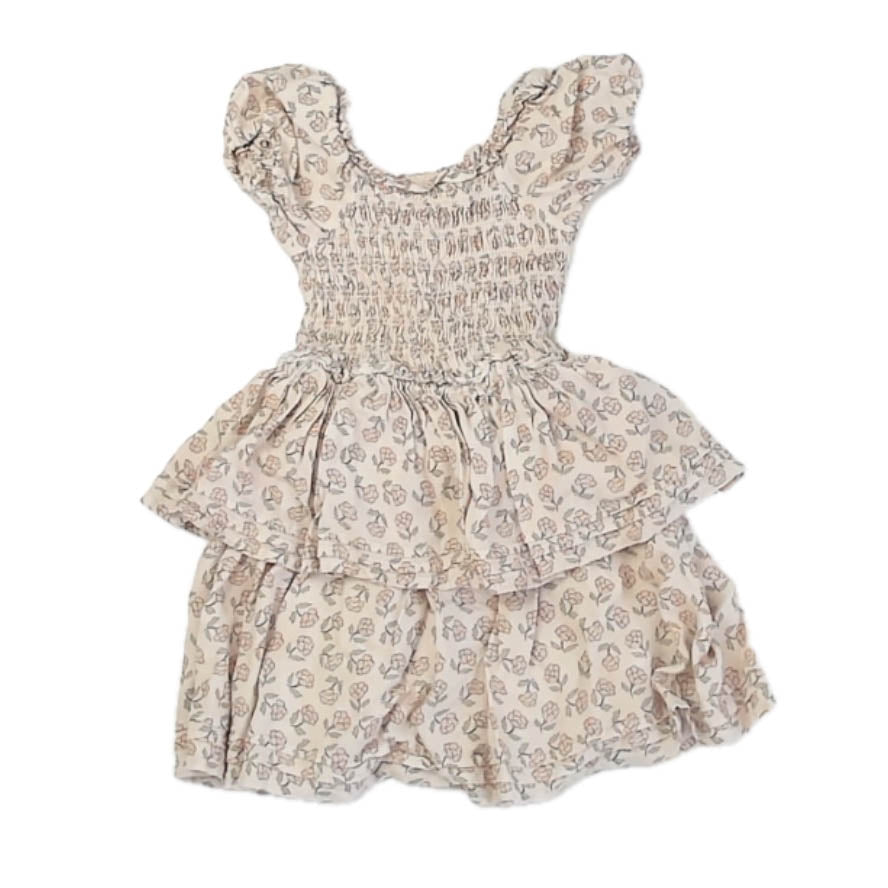 Noralee Girls Ivory | Pink Floral Dress Size: 4T Ivory | Pink Floral