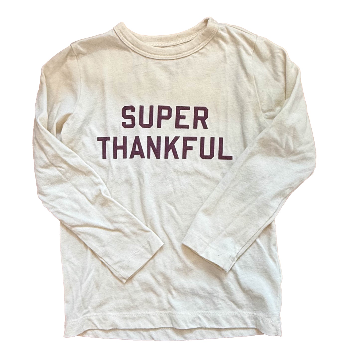Crewcuts Boys Ivory Thankful Long Sleeve T-Shirt Size: 2-3T Ivory Thankful