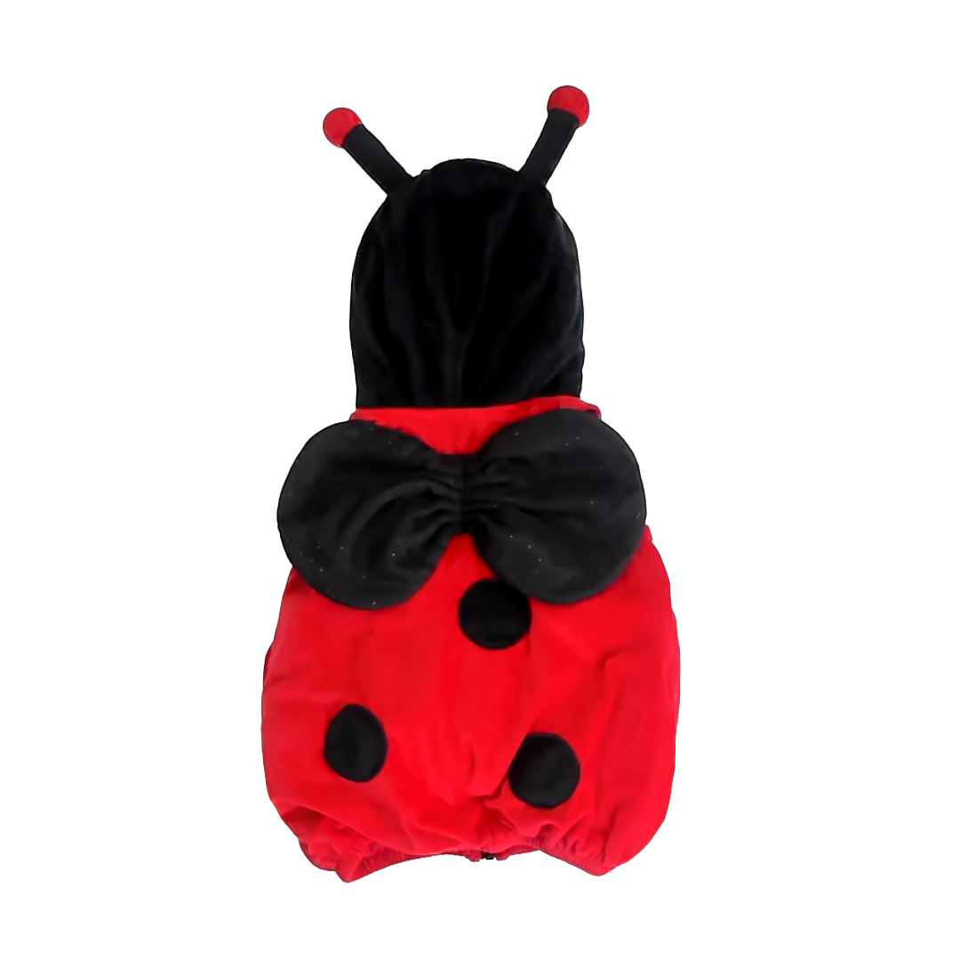 Dream Play Imagine Unisex Ladybug Costume Size: 24 Months Ladybug