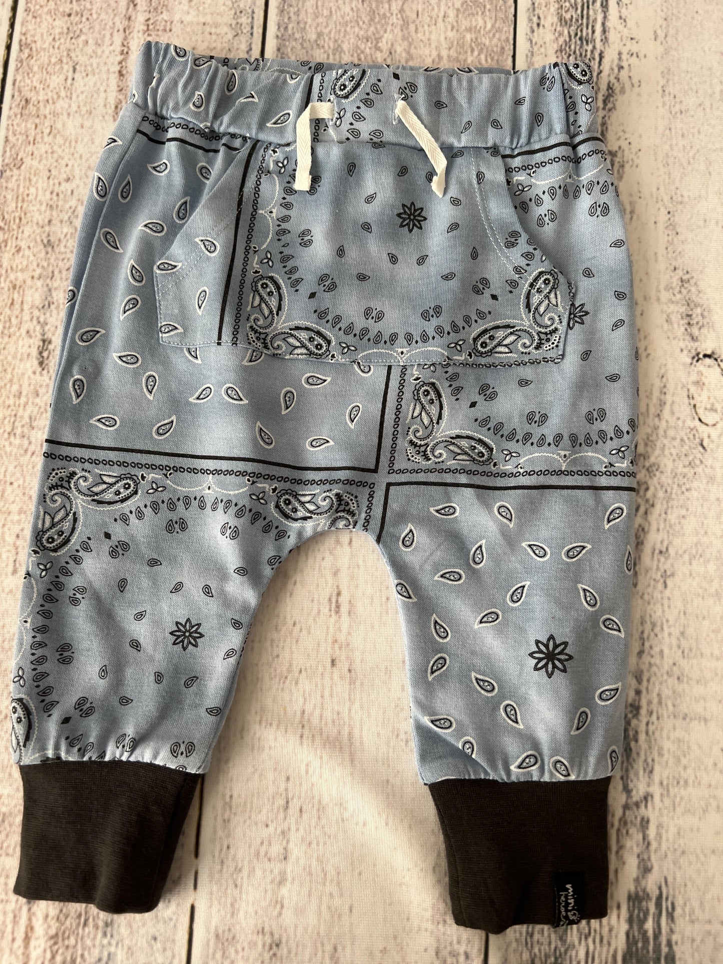 Mini Heroes Boys Light Blue | Paisley Pants Size: 6 months Light Blue | Paisley