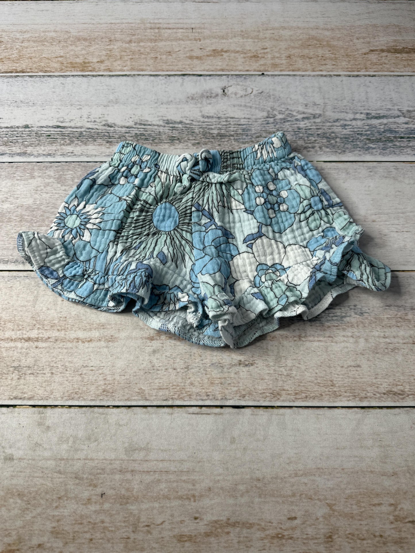 Jessica Simpson Girls Light Blue | White | Flowers | Retro Shorts Size: 12M Light Blue | White | Flowers | Retro