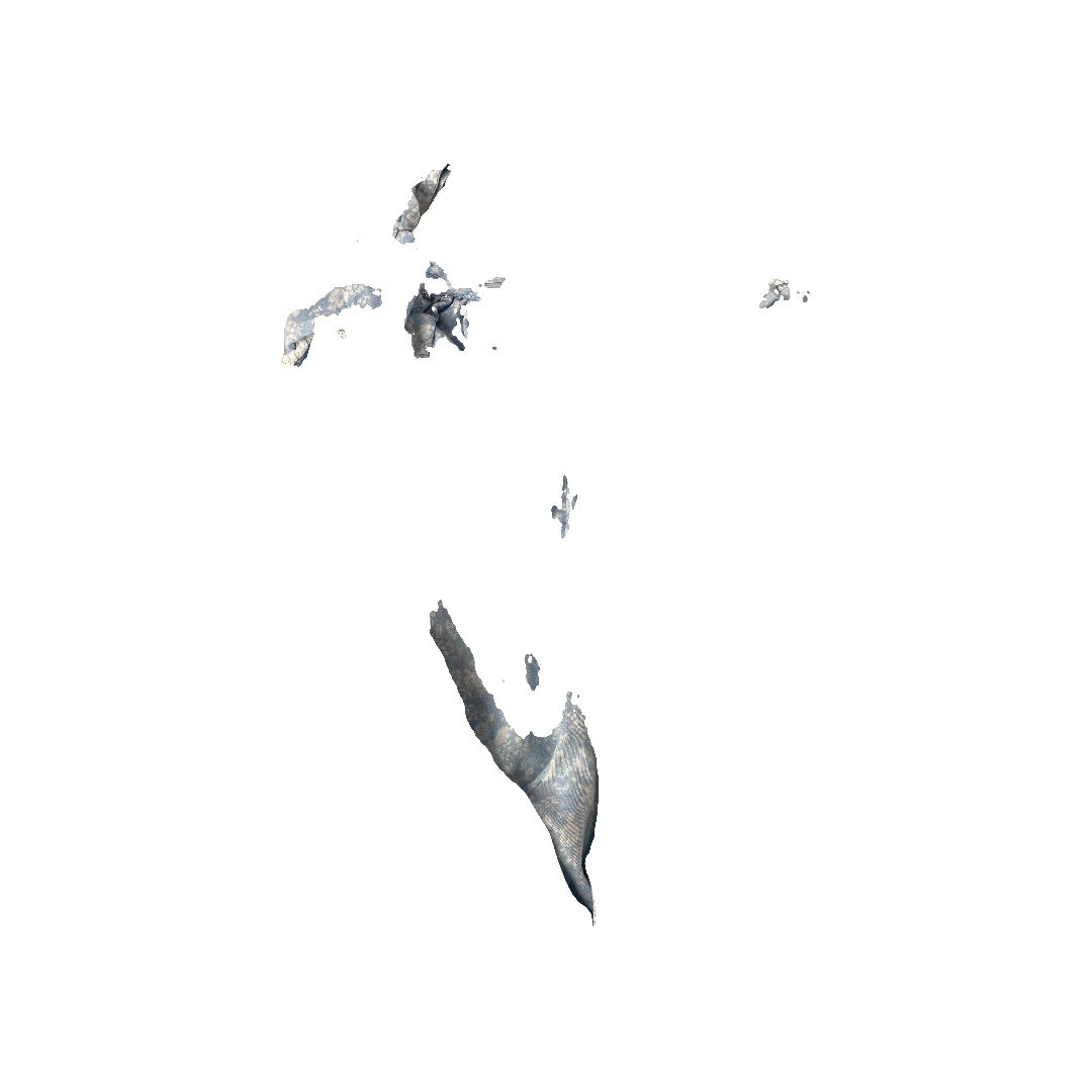 Leah & Rae Girls Light Blue | White | Flowers Jumper Size: 18-24 months Light Blue | White | Flowers