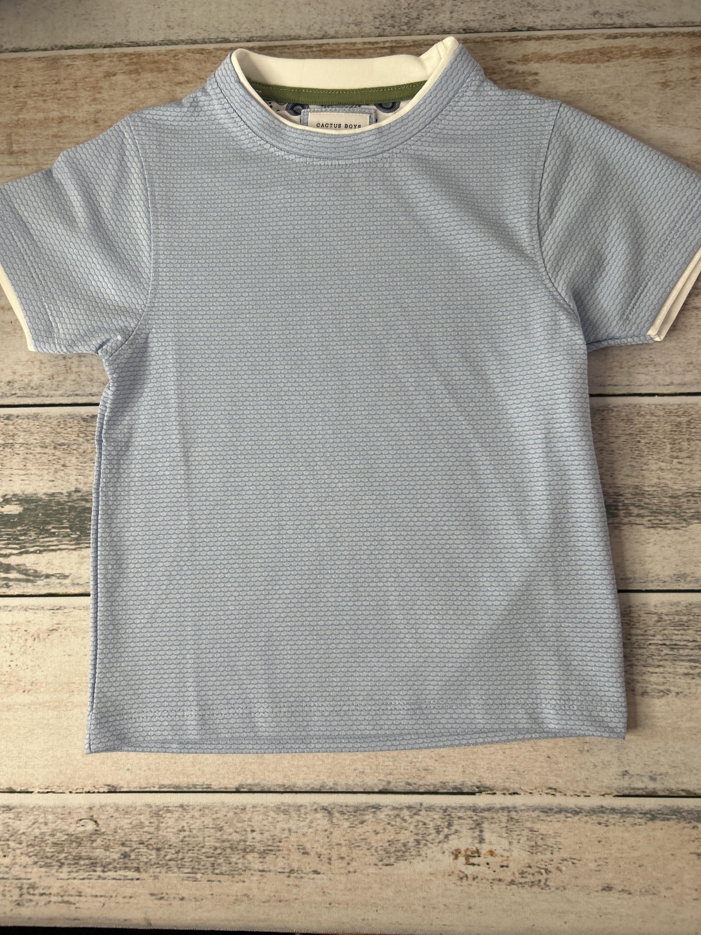Boys Light Blue T-Shirt Size: 4T Light Blue