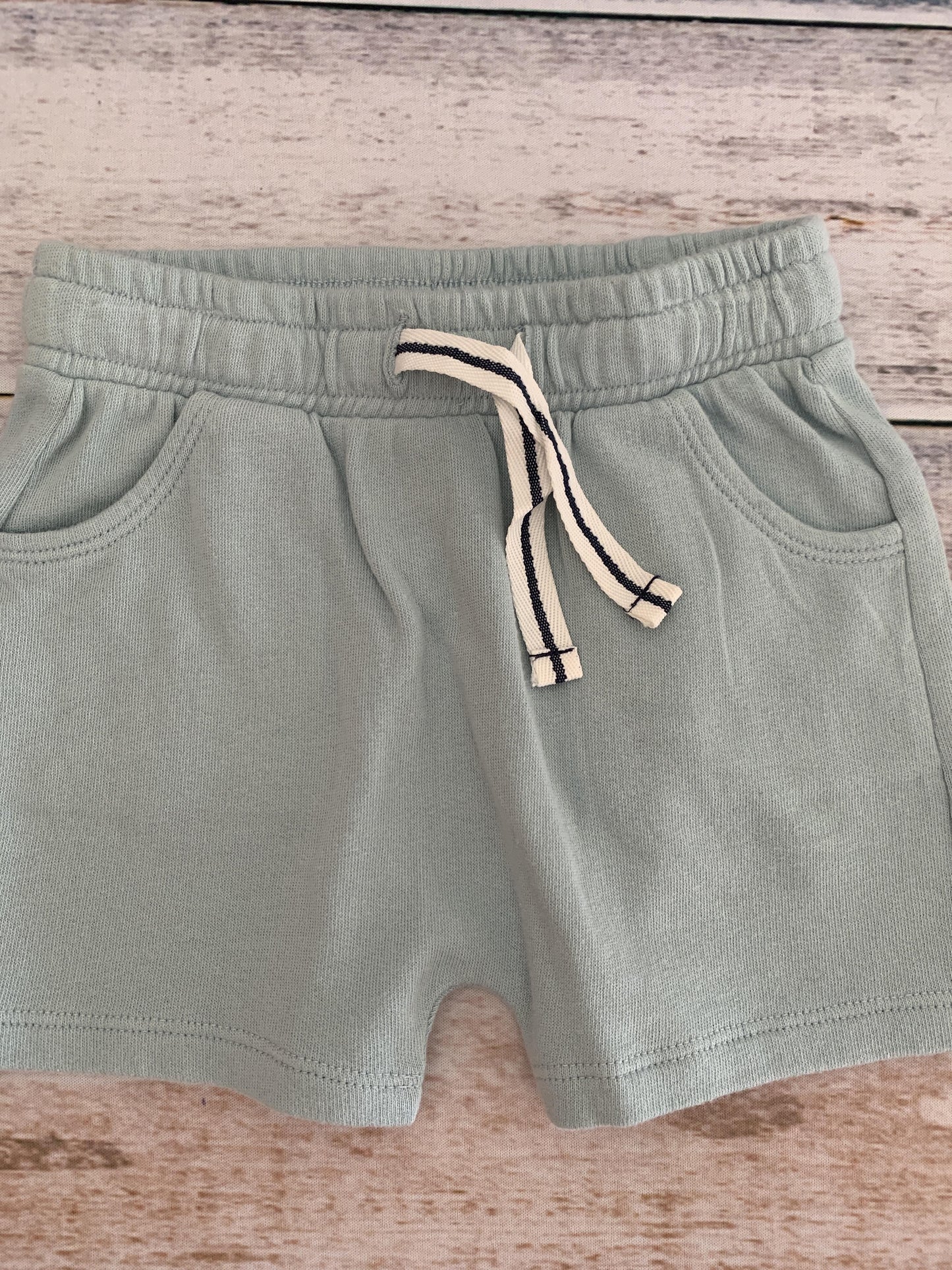 Tucker + Tate Boys Light Blue Shorts Size: 12M Light Blue