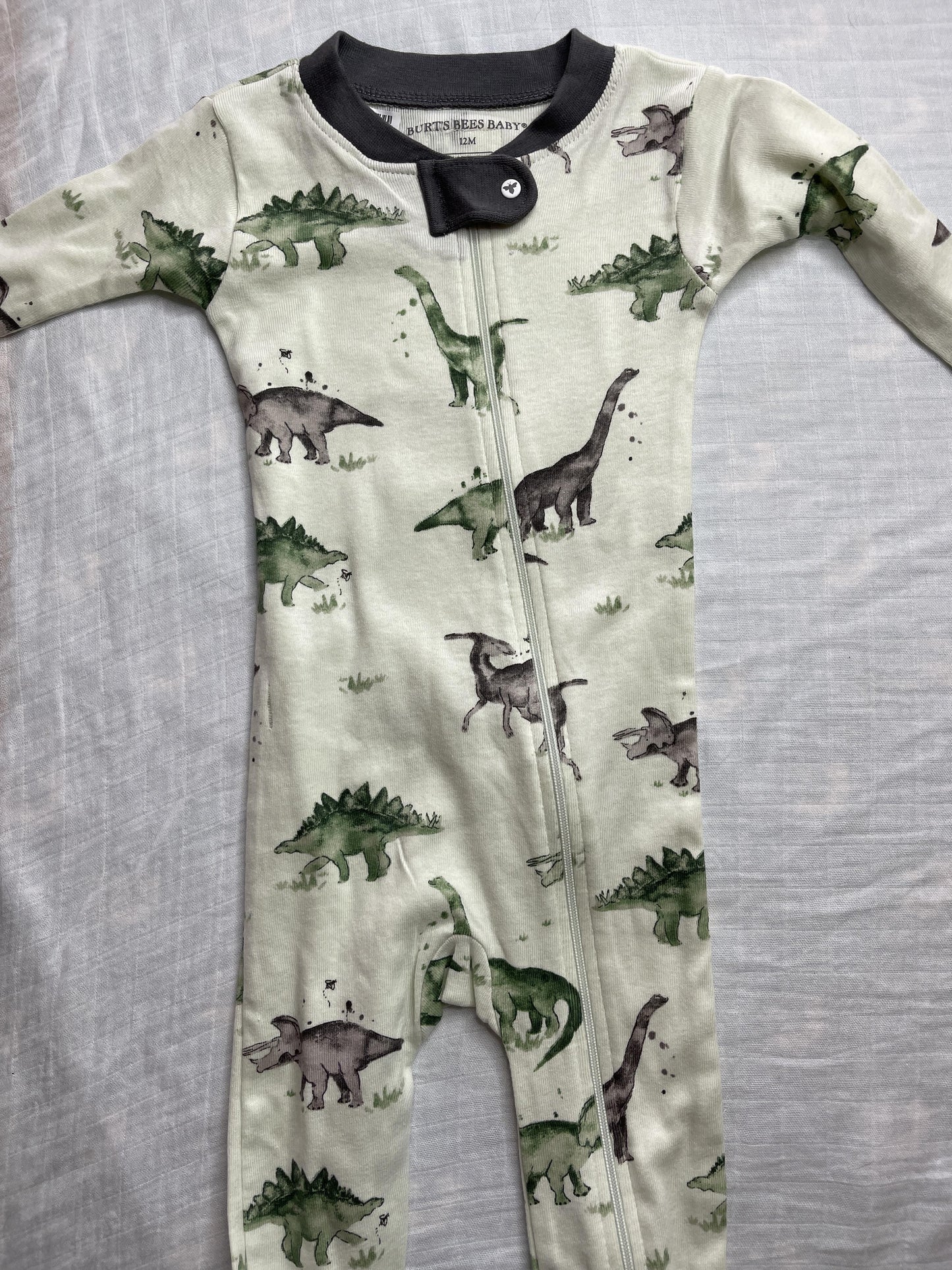 Burt's Bees Boys light green | dinosaur feet Pajamas Size: 12 months light green | dinosaur feet