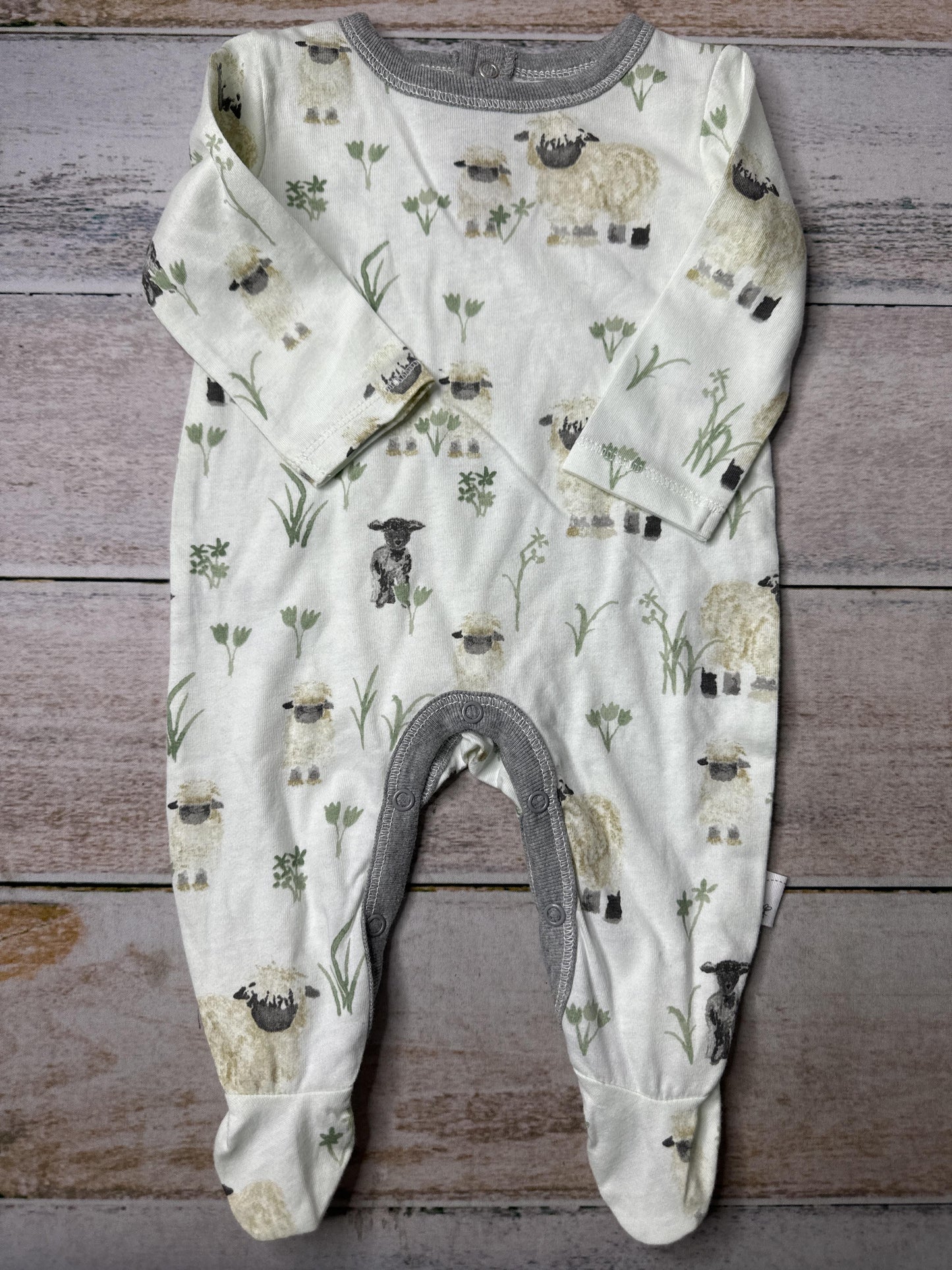 Burt's Bees Unisex light green Long Sleeve Outfit Size: Newborn light green