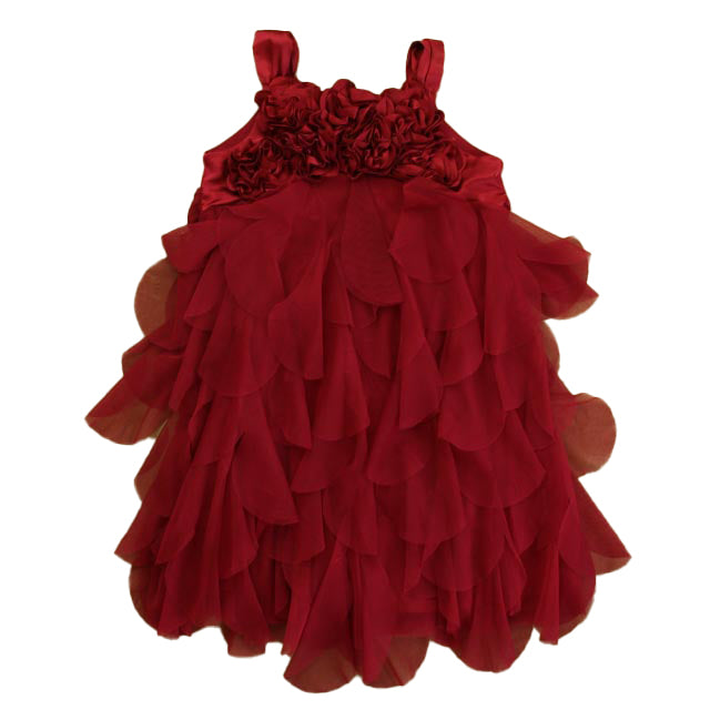 Biscotti Girls Maroon Dress Size: 4T Maroon