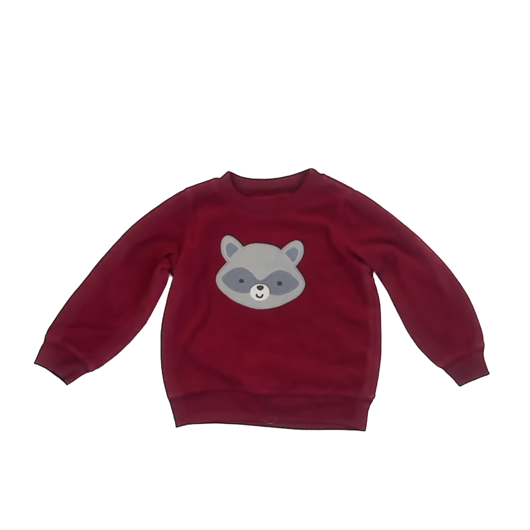 Child of Mine Boys Maroon Sweatshirt Size: 24 Months Maroon