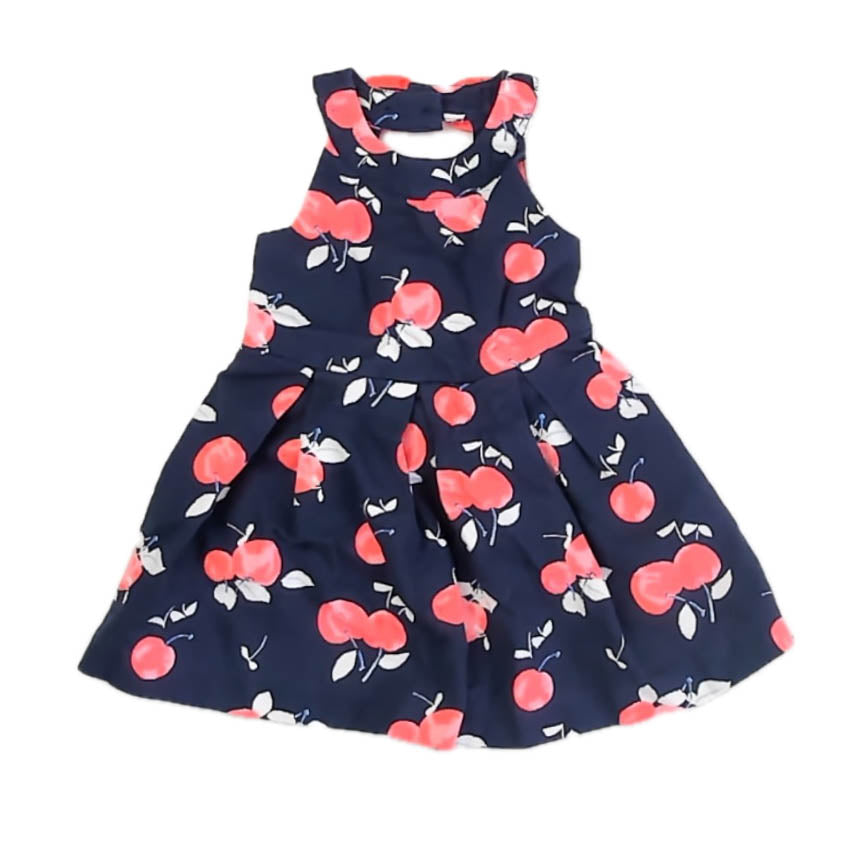 Janie and Jack Girls Navy Oranges Dress Size: 18-24 Months Navy Oranges