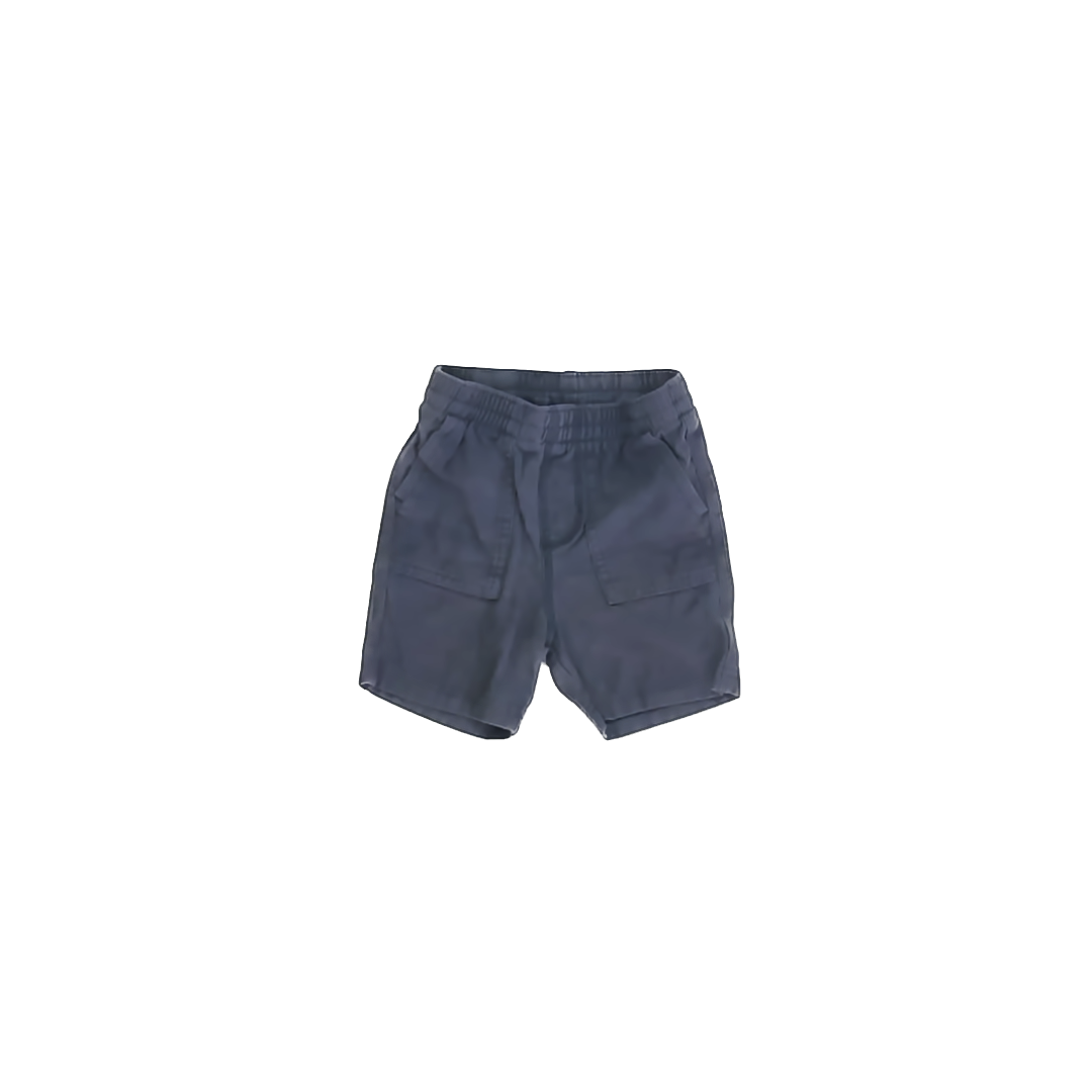 Tea Collection Boys Navy Shorts Size: 18-24 Months Navy