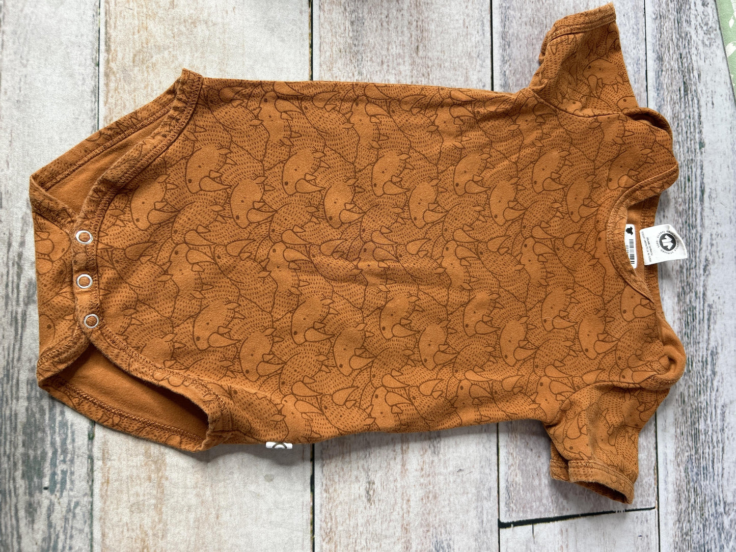 Unisex orange | Dinosaur Button Down Short Sleeve Size: 9-12 Months orange | Dinosaur