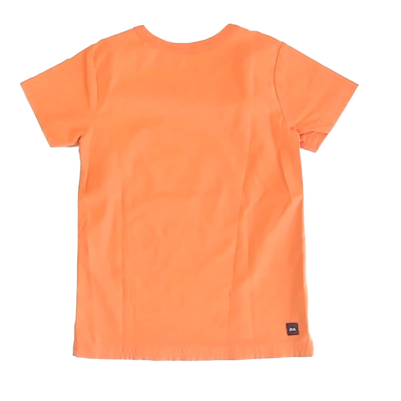 Tea Collection Boys Orange Turtle T-Shirt Size: 4T Orange Turtle