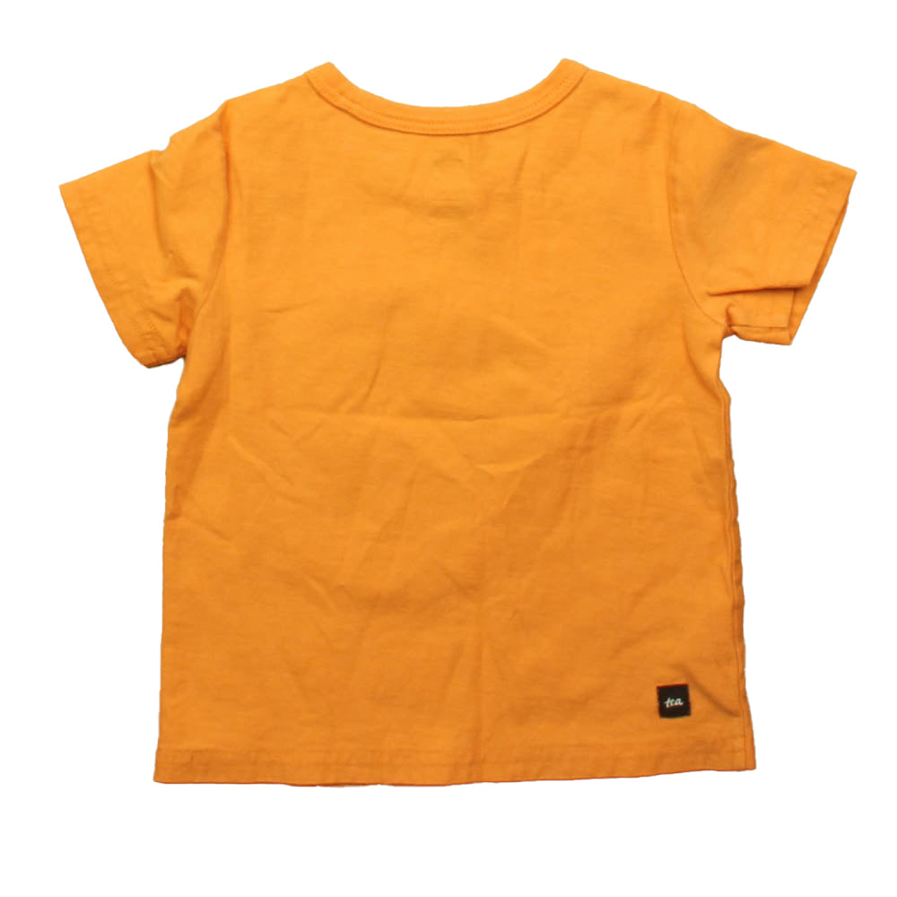 Tea Boys Orange Turtle T-Shirt Size: 12-18 Months Orange Turtle