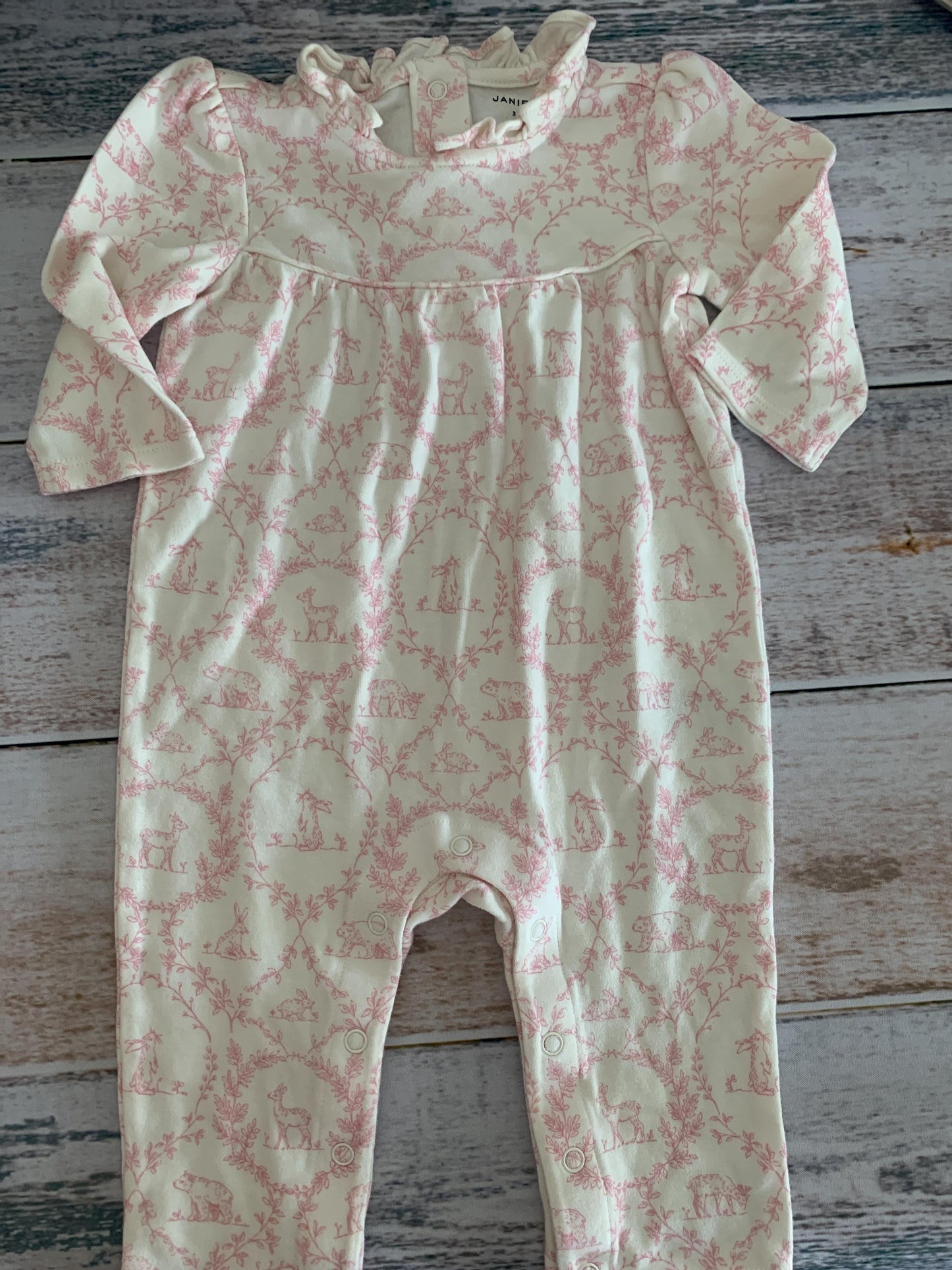Janie and Jack Girls pink | Pink floral Long Sleeve Outfit Size: 3-6 months pink | Pink floral
