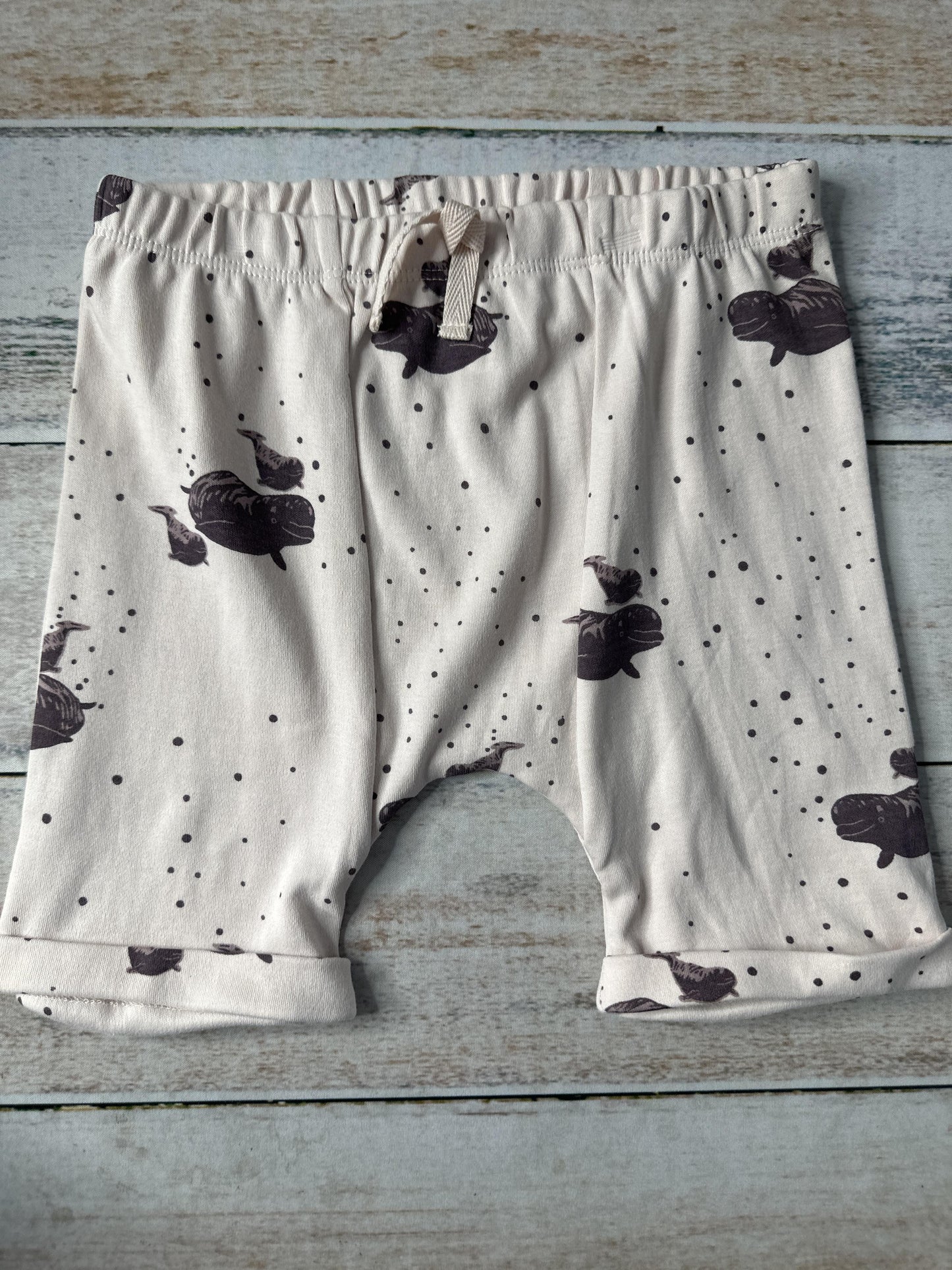 Kate Quinn Girls pink | whales Shorts Size: 3T pink | whales