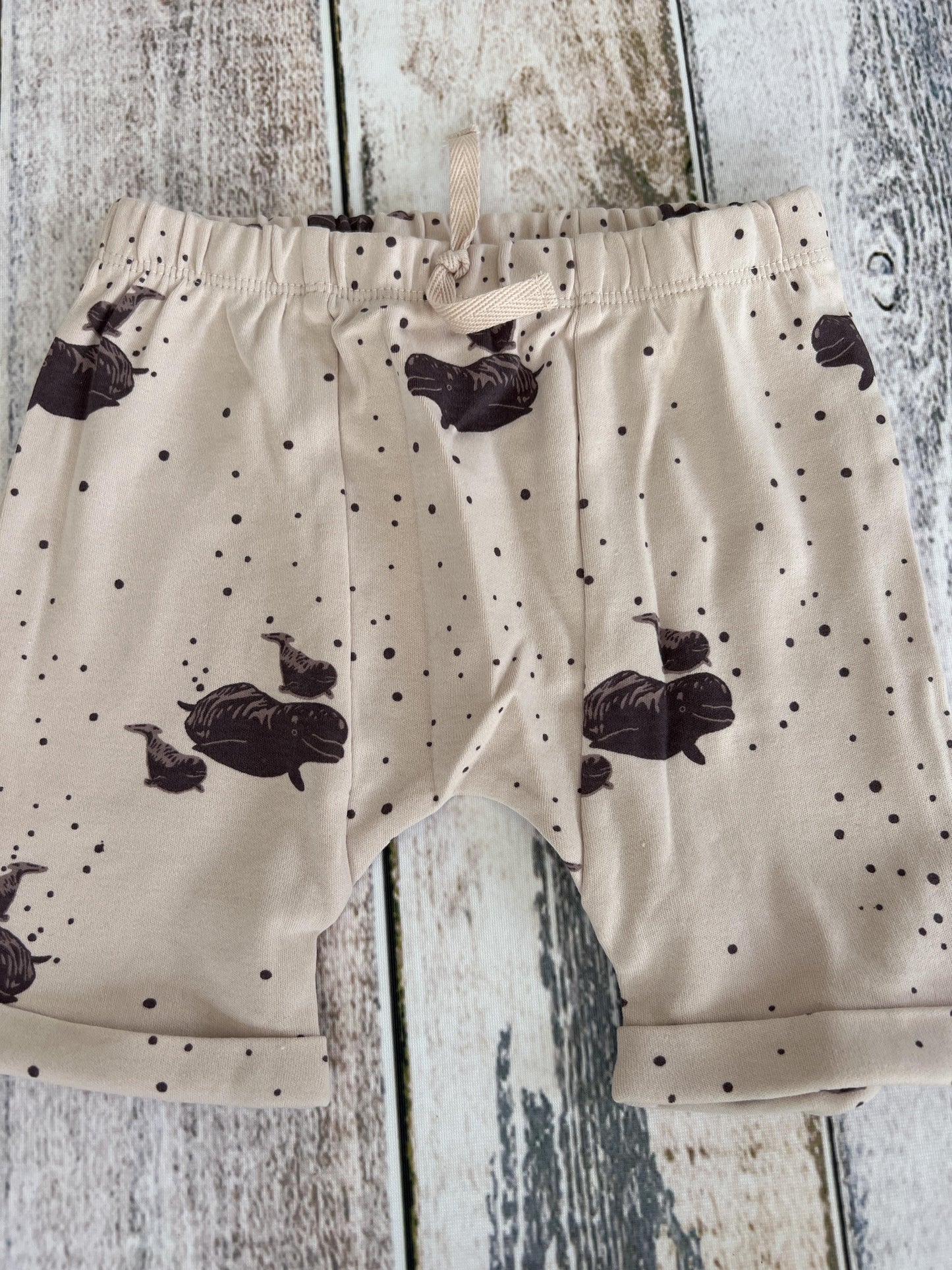 Kate Quinn Girls pink | whales Shorts Size: 2T pink | whales