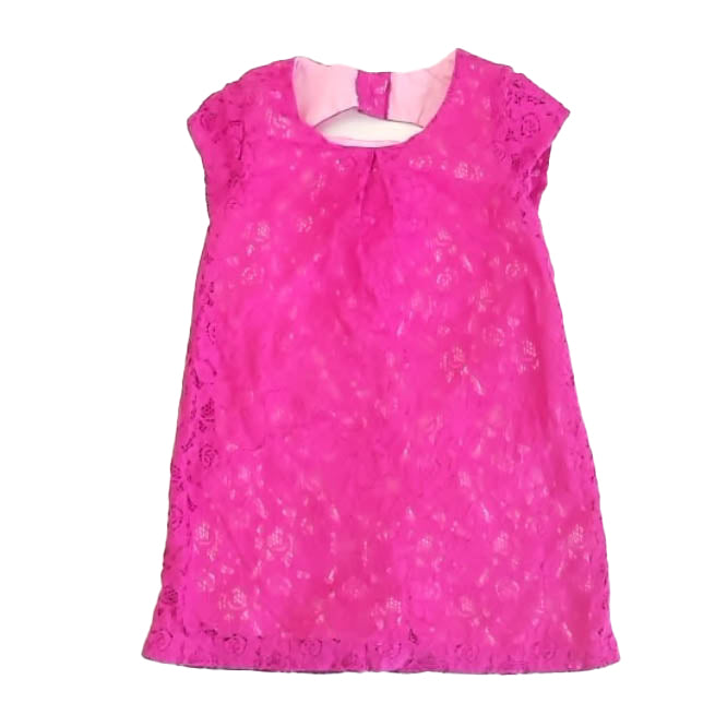 Gymboree Girls Pink Dress Size: 4T Pink