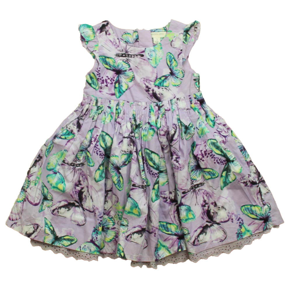 Pumpkin Patch Girls Purple Butterflies Dress Size: 2T Purple Butterflies
