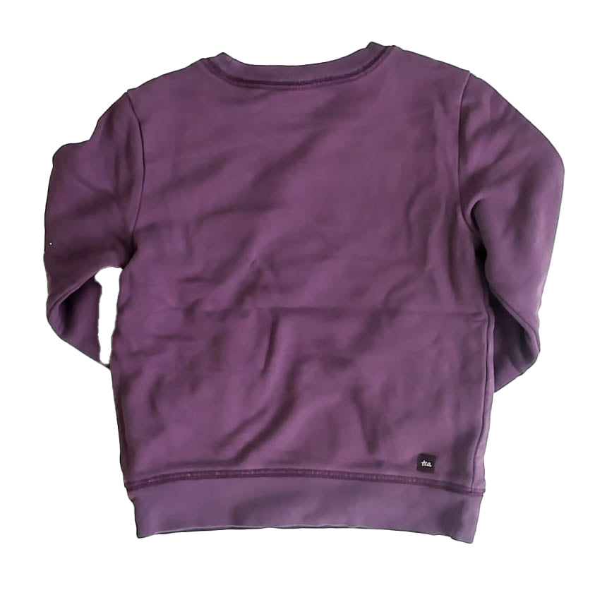 Tea Collection Girls Purple Sweatshirt Size: 4T Purple