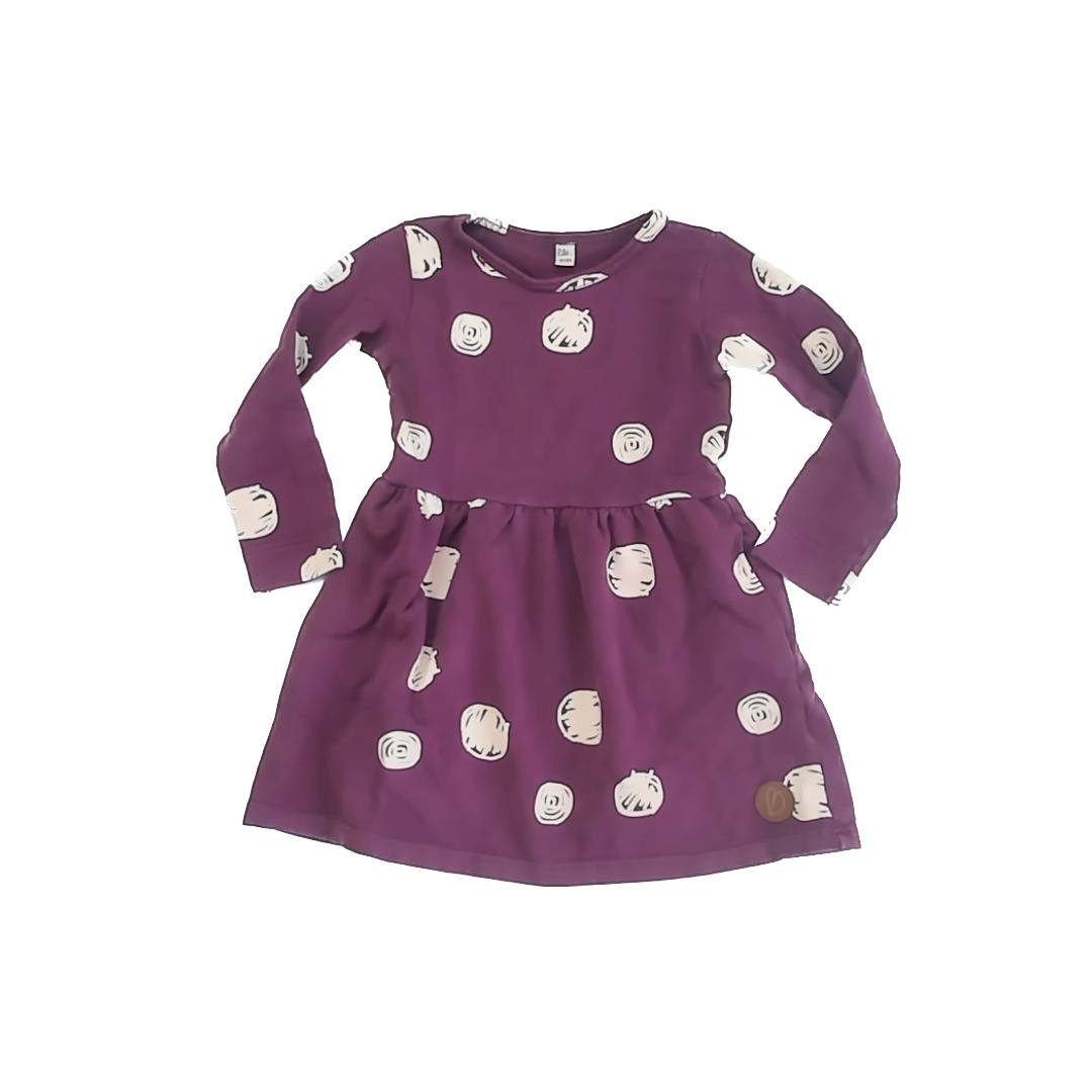 Blaa Girls Purple Dress Size: 3-4T Purple