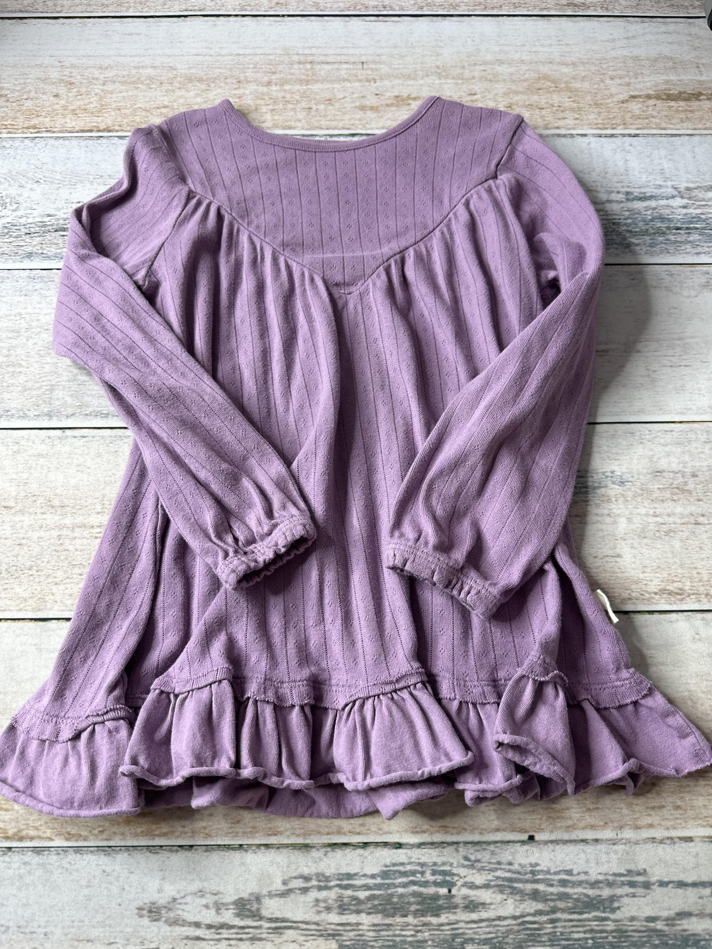 Burt's Bees Girls purple Dress Size: 4T purple
