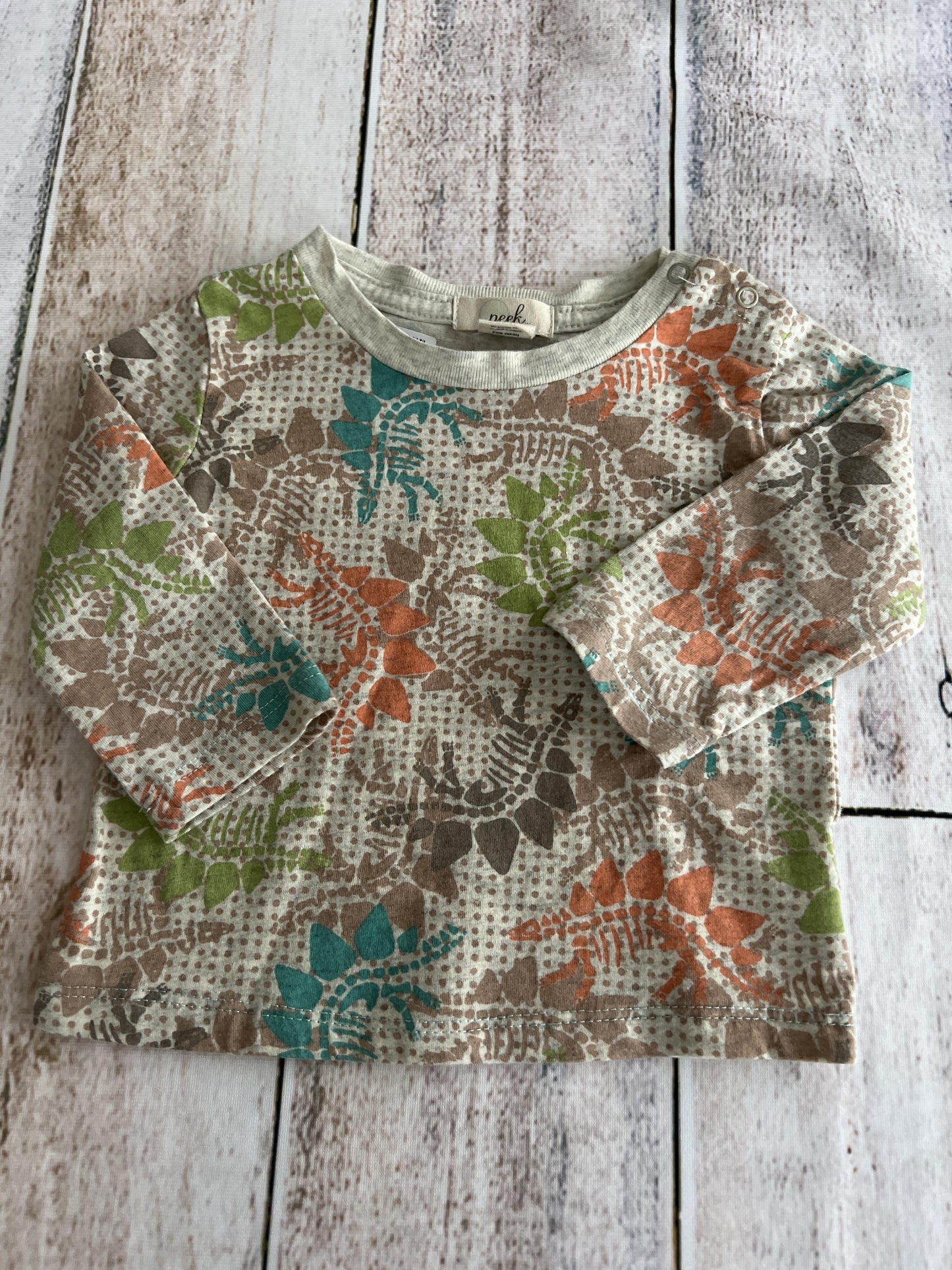 Peek Boys Tan | Light Blue | light green | Dinosaur Long Sleeve Shirt Size: 3-6 months Tan | Light Blue | light green | Dinosaur