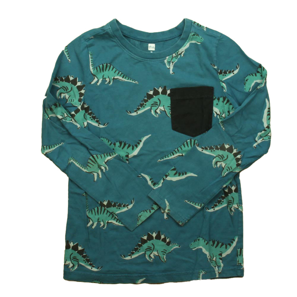 Tea Boys Teal Dinosaur Long Sleeve T-Shirt Size: 10 Years Teal Dinosaur