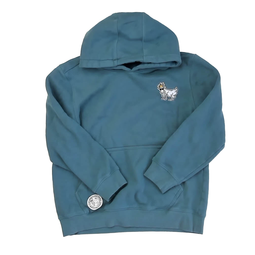 GOAT USA Boys Teal Hoodie Size: 12-14 Years Teal