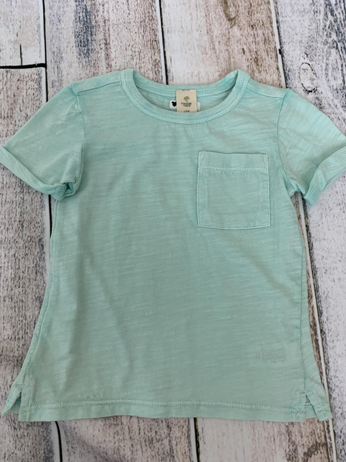 Tucker + Tate Boys Teal T-Shirt Size: 12M Teal
