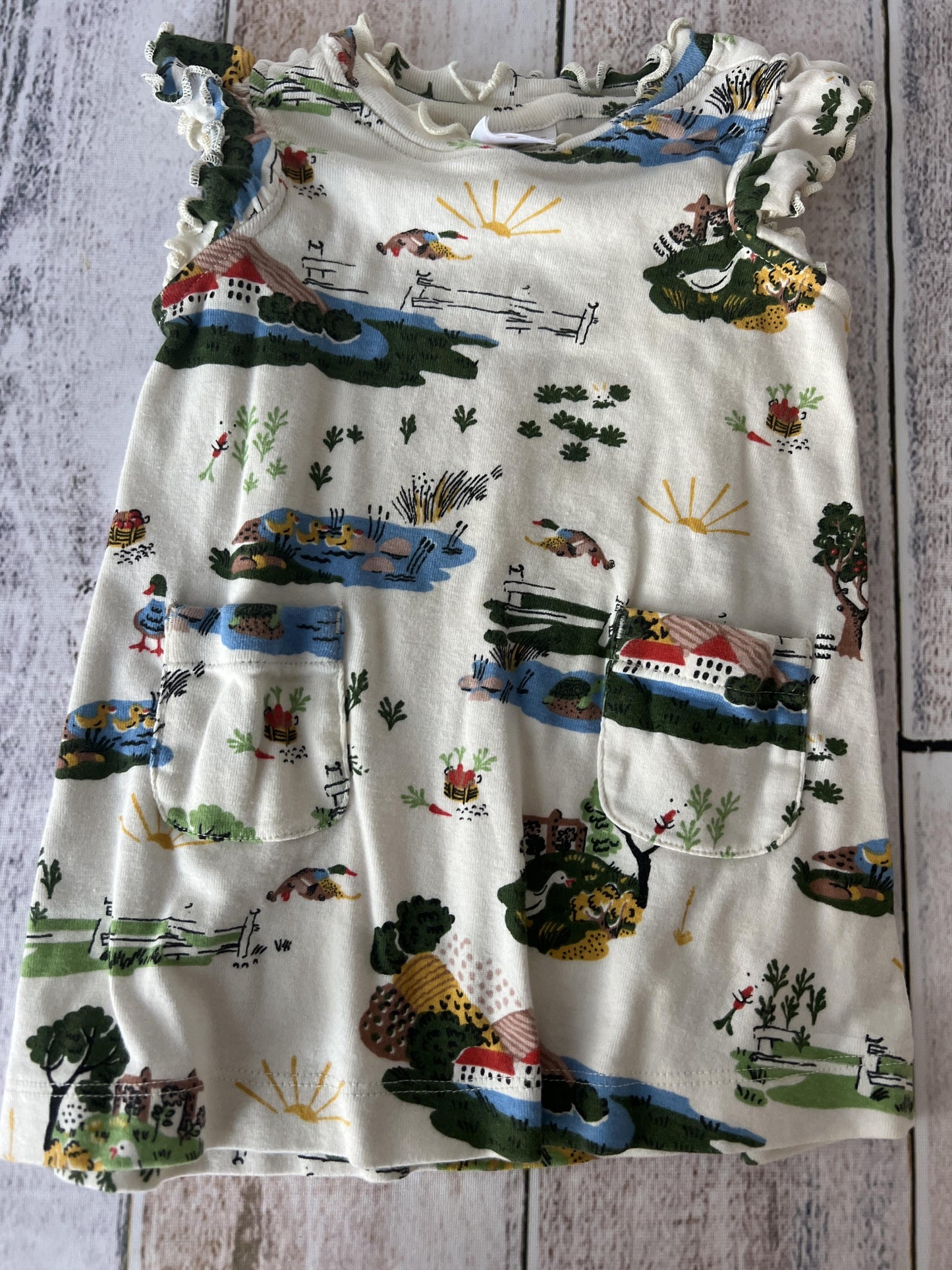 Hanna Andersson Girls Tropical T-Shirt Size: 6-12 months Tropical