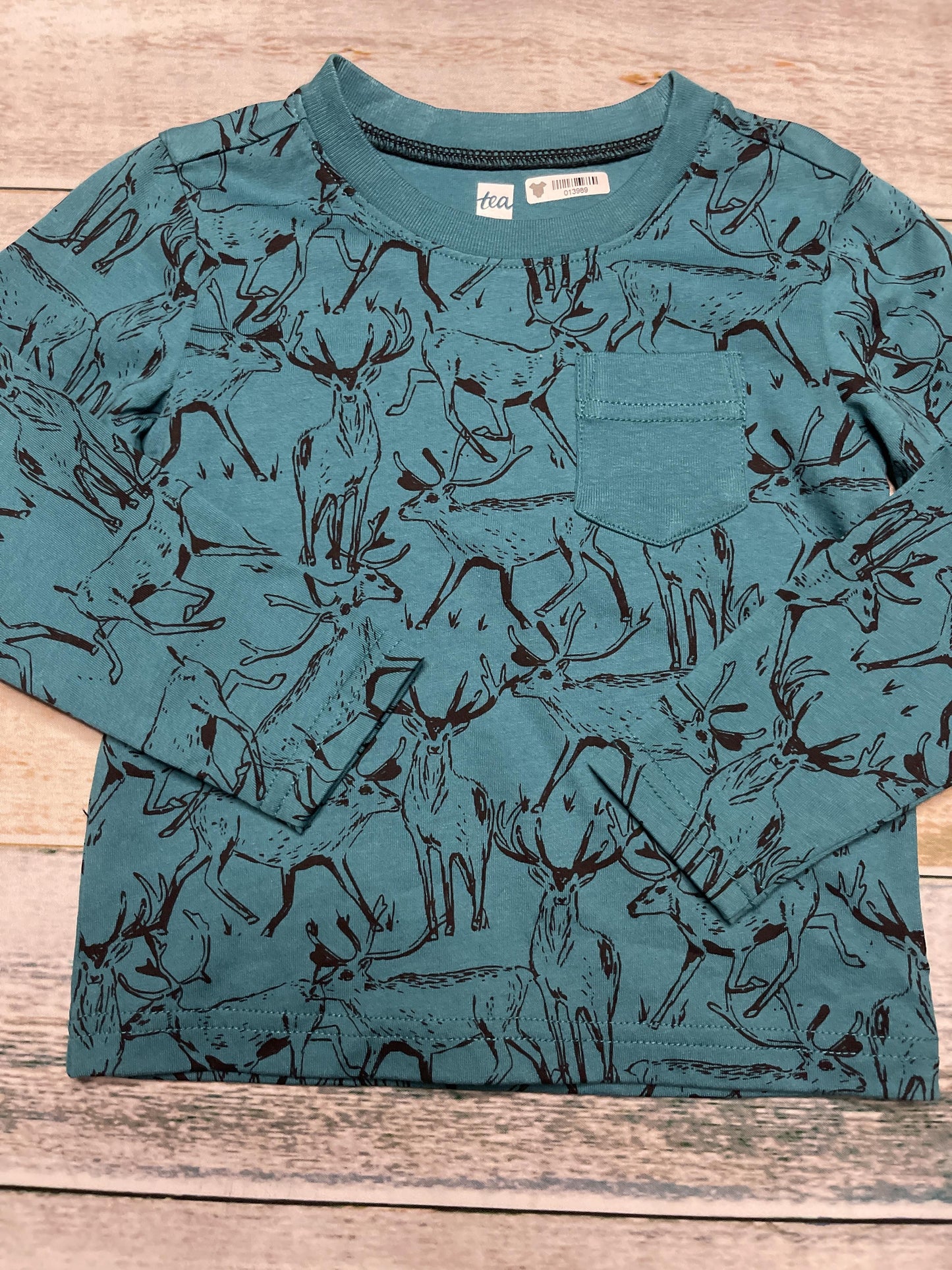 Tea Boys Turquoise | animals Long Sleeve T-Shirt Size: 2T Turquoise | animals