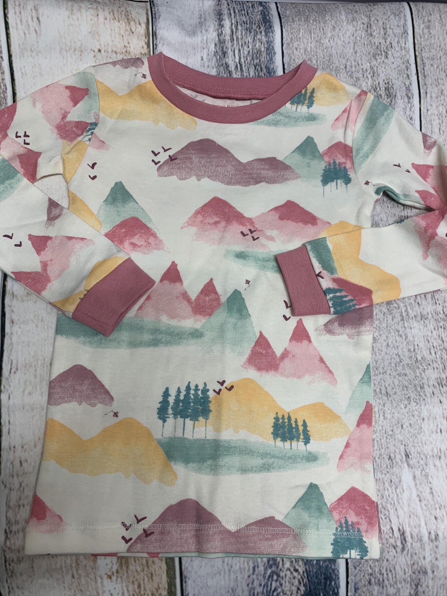 Burt's Bees Girls Turquoise | pink Pajamas Size: 3T Turquoise | pink