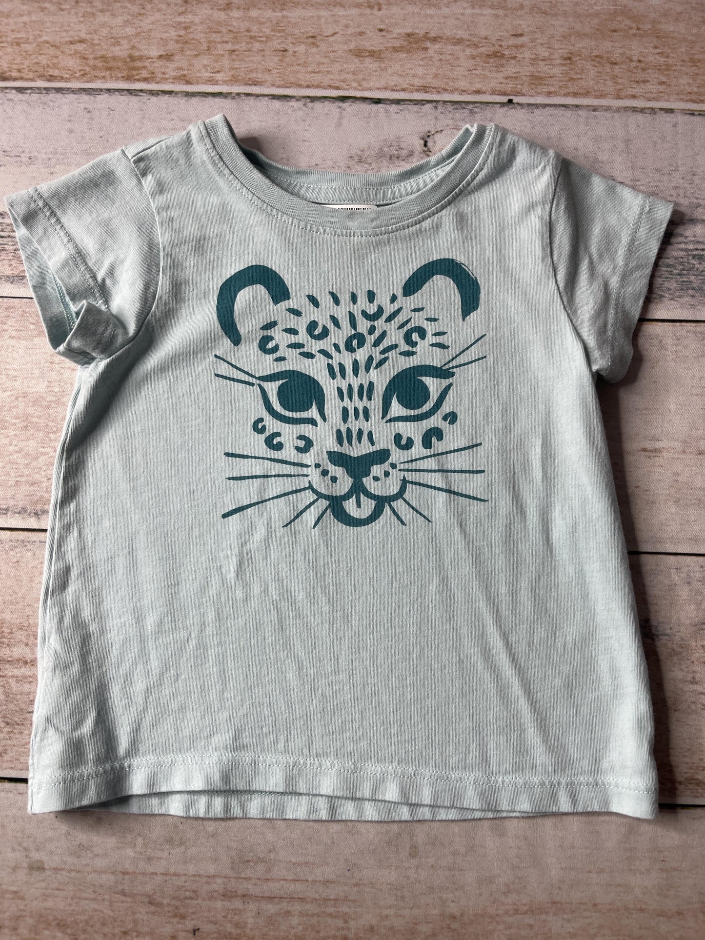 Tea Unisex Turquoise T-Shirt Size: 2T Turquoise