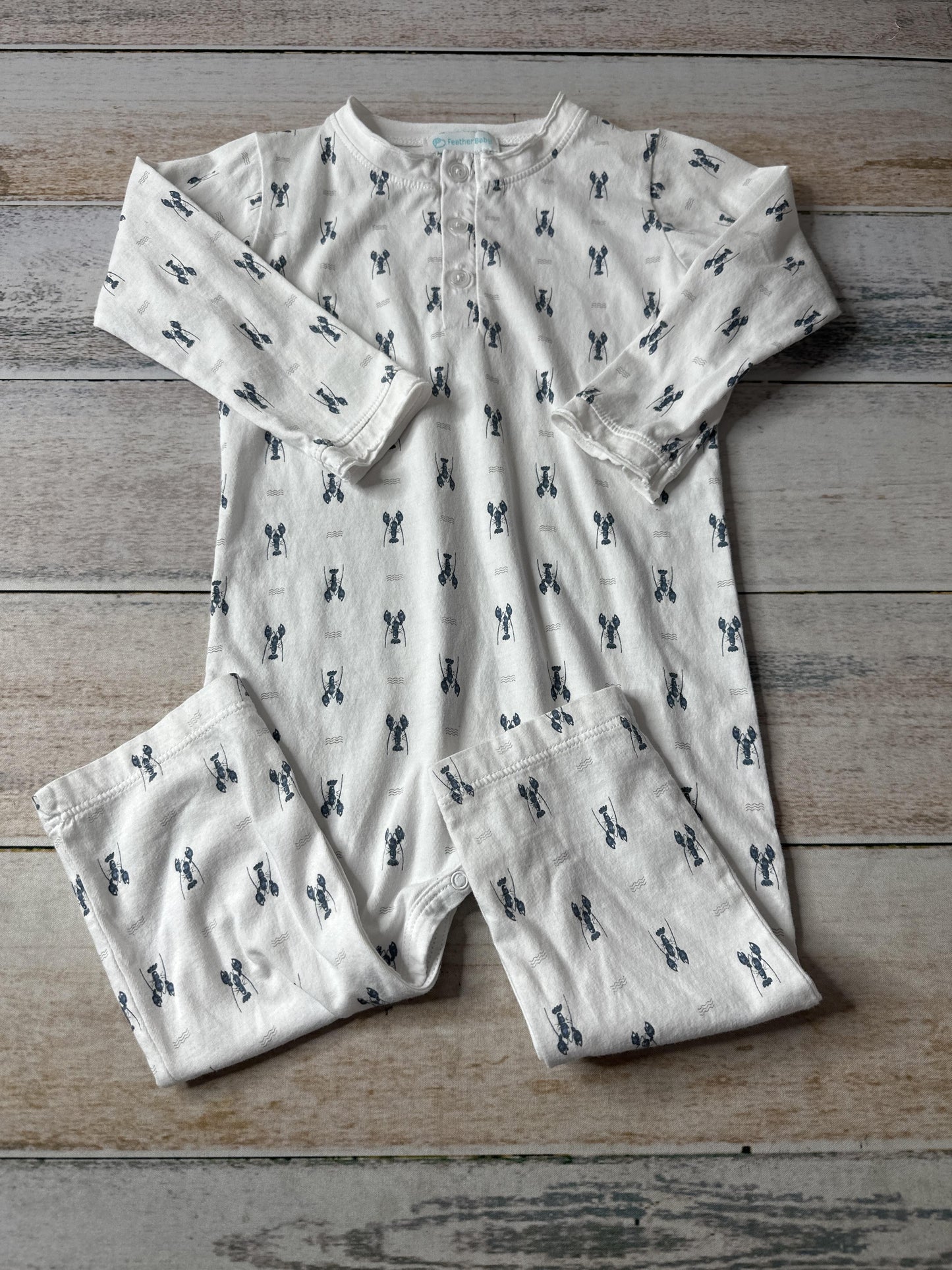 Feather Baby Boys White | Blue Long Sleeve Outfit Size: 18-24 months White | Blue