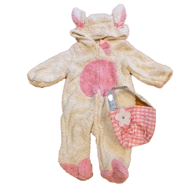 Spirit Girls White Bunny Costume Size: 0-6 Months White Bunny