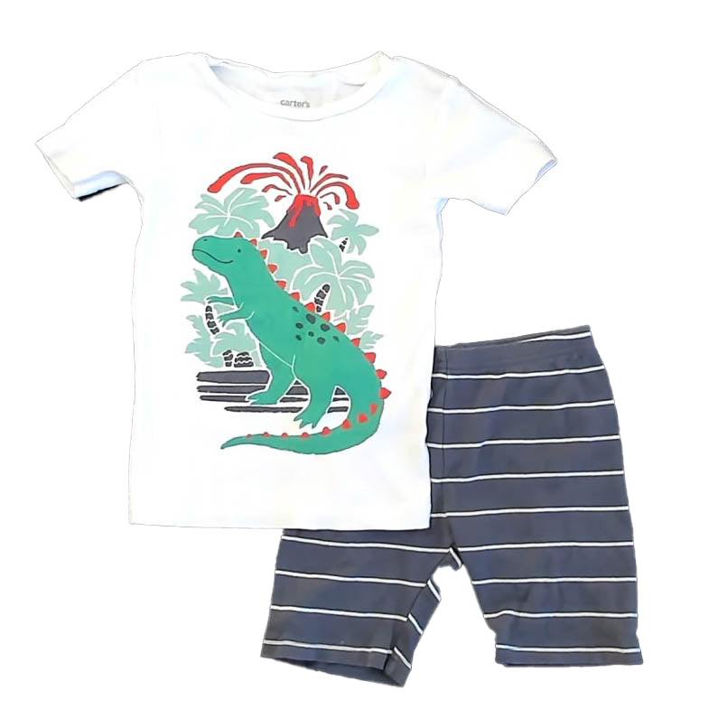 Carter's Boys White | Gray Dinosaur 2-piece Pajamas Size: 5T White | Gray Dinosaur