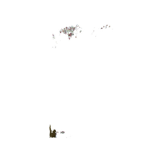 Laura Ashley Girls White | Pink floral Pajamas Size: 6-9 months White | Pink floral