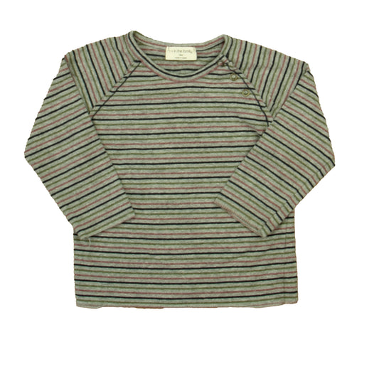 1 + In the Family Unisex Gray | Pink | Green Stripe Long Sleeve T-Shirt Size: 18 Months