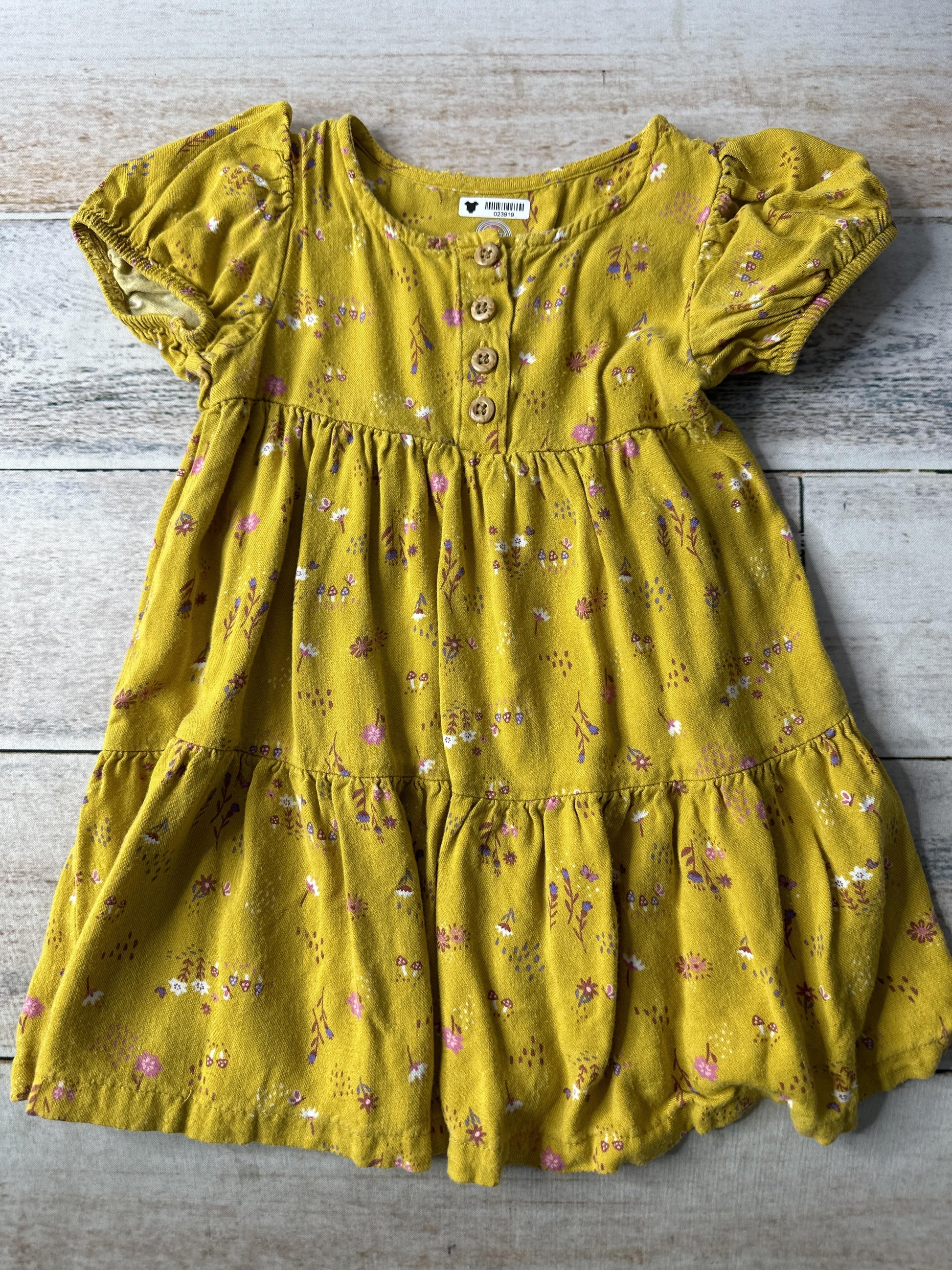 Girls Dress Size: 12-18 months