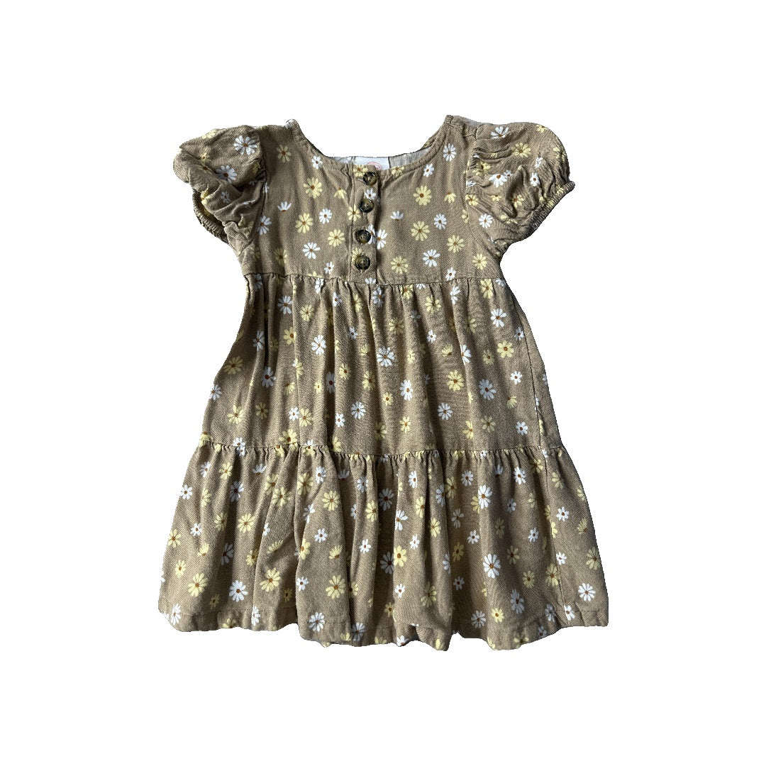 Girls Dress Size: 12-18 months