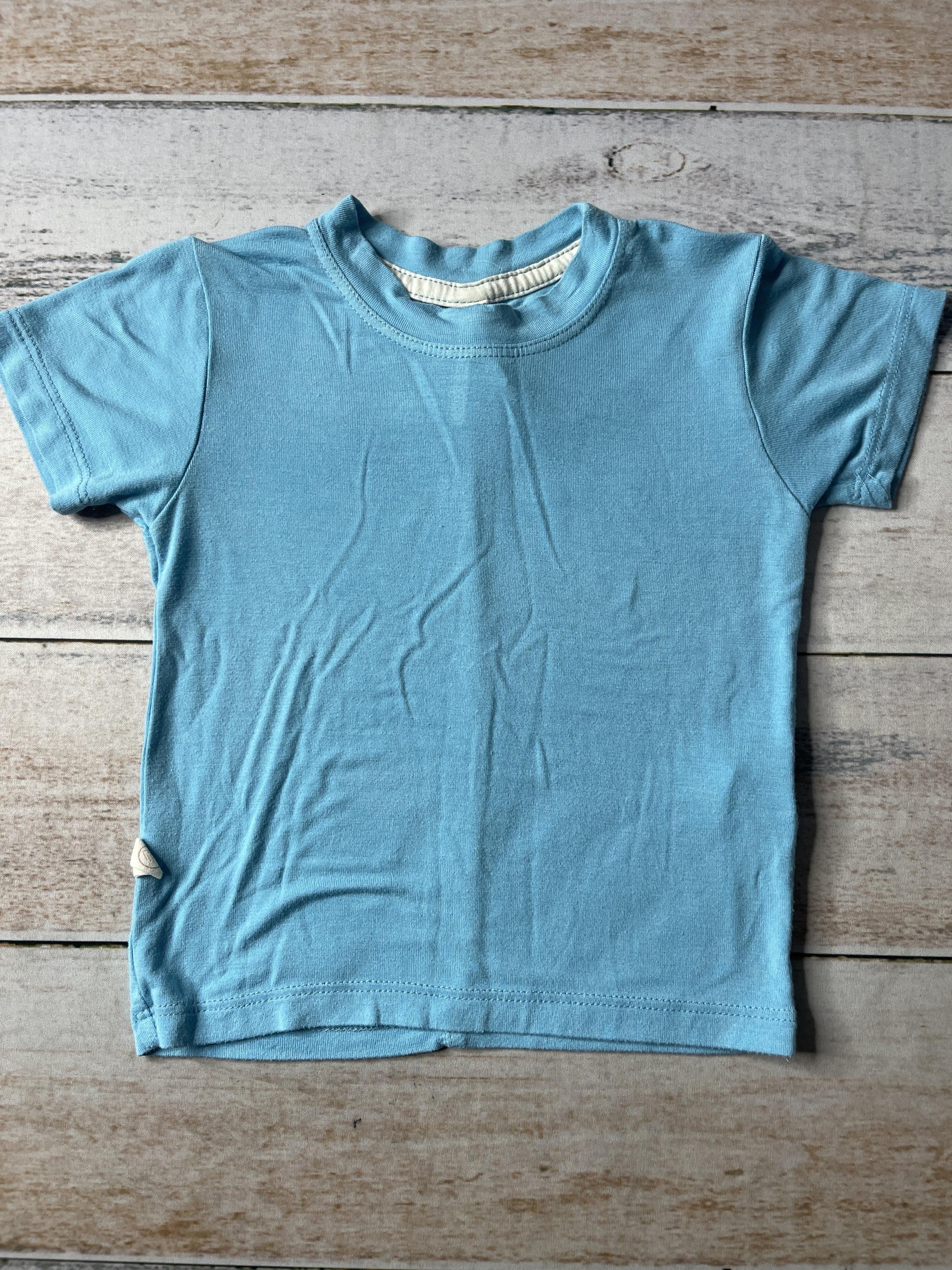 Unisex T-Shirt Size: 12-18 months