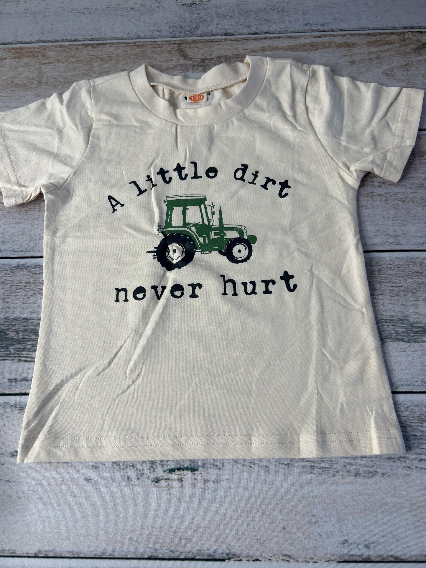 Boys T-Shirt Size: 18-24 months