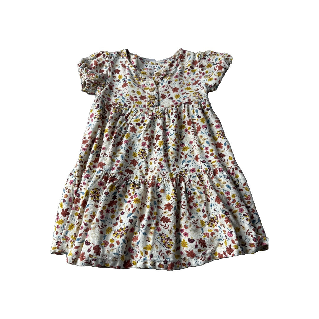 Girls Dress Size: 18 months